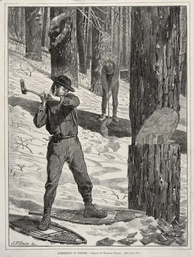 Lumbering In Winter