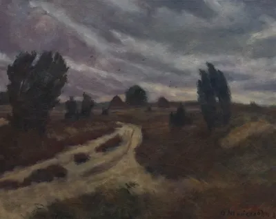 Luneburger Heide