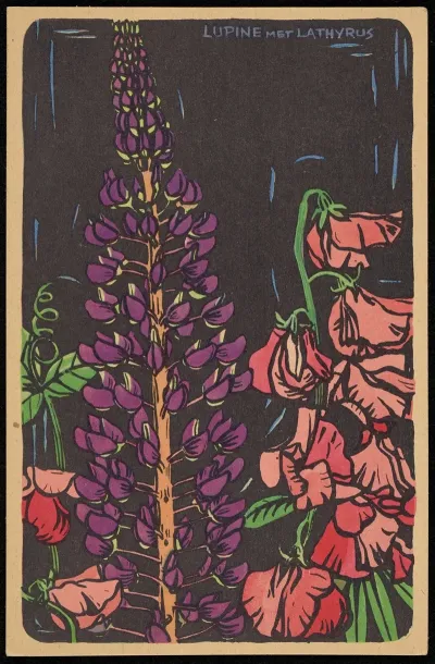 Lupine Met Lathyrus