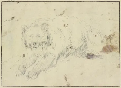 Lying Bear To The Left