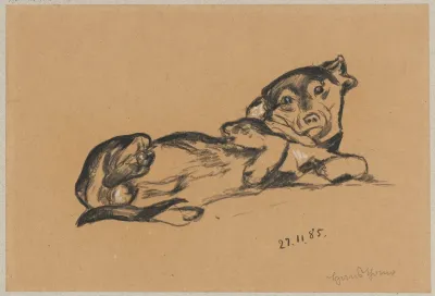Lying Dachshund