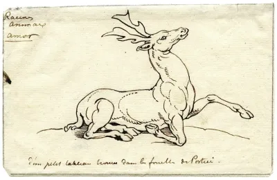 Lying Deer