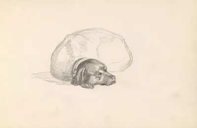Lying Dog 5