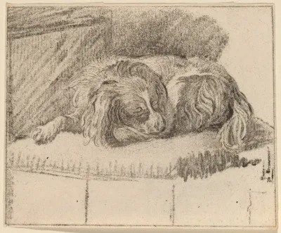 Lying Dog 7