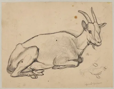 Lying Goat 2