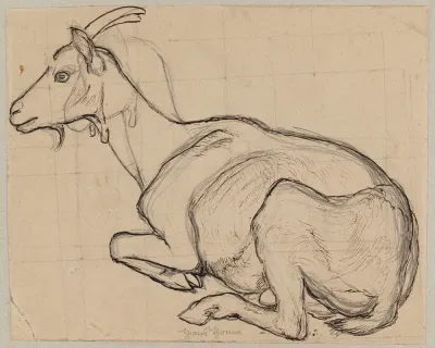 Lying Goat