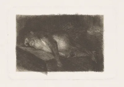 Lying Sleeping Monkey