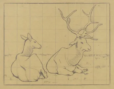 Lying Stags