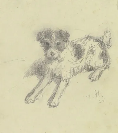 Lying Terrier