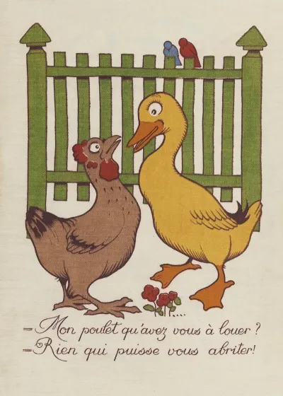 M Canard Cherche Une Maison Pl 02