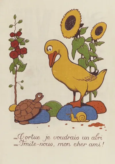M Canard Cherche Une Maison Pl 04