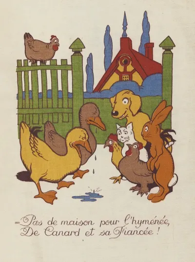 M Canard Cherche Une Maison Pl 11