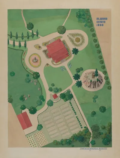 M Ward Estate