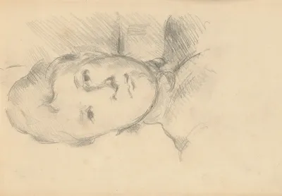 Madame Cezanne 3