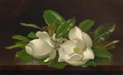 Magnolias On A Shiny Table