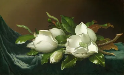 Magnolias On Light Blue Velvet Cloth