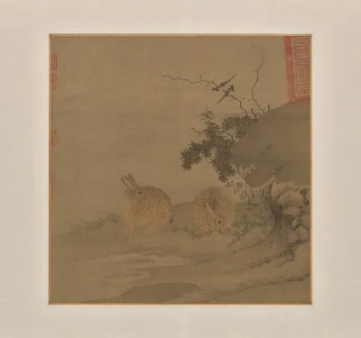 Magpies And Wild Rabbits
