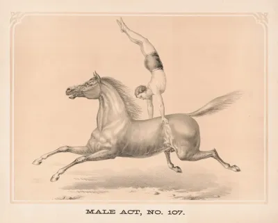 Male Act No 107
