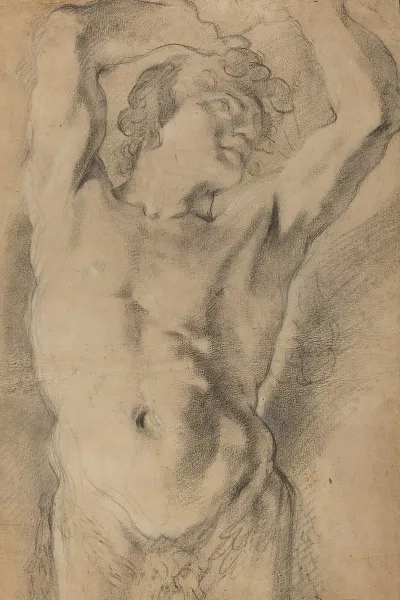 Male Herm