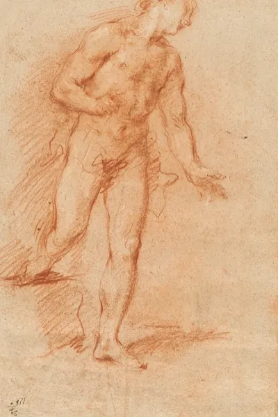 Male Nude 8