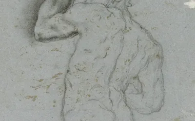 Male Nude From Behind