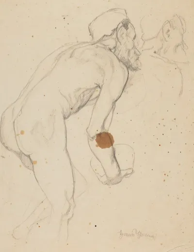 Male Nude From The Back