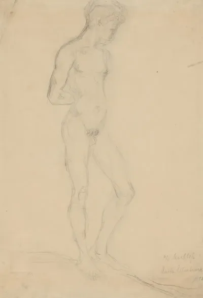 Male Nude Model
