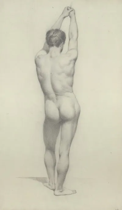 Male Nude Seen From The Back 2