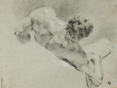Male Nude Seen From The Back