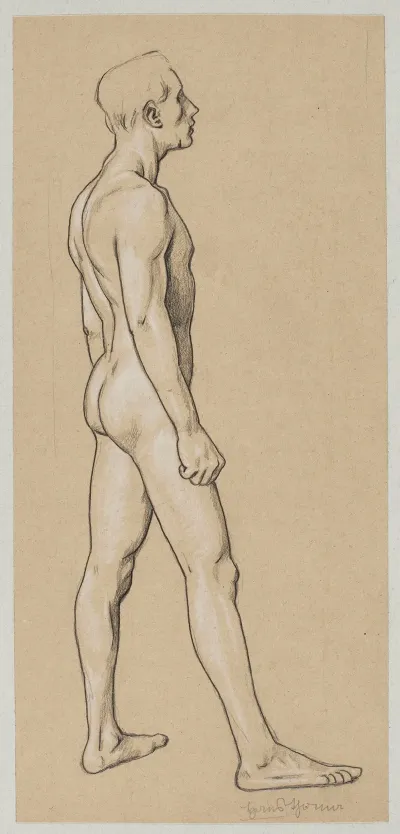 Male Nude Standing 2