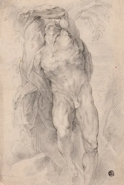 Male Nude Tied To Tree