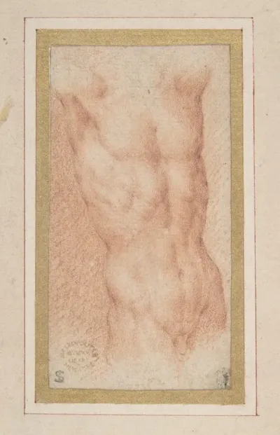 Male Nude Torso With Raised Arms