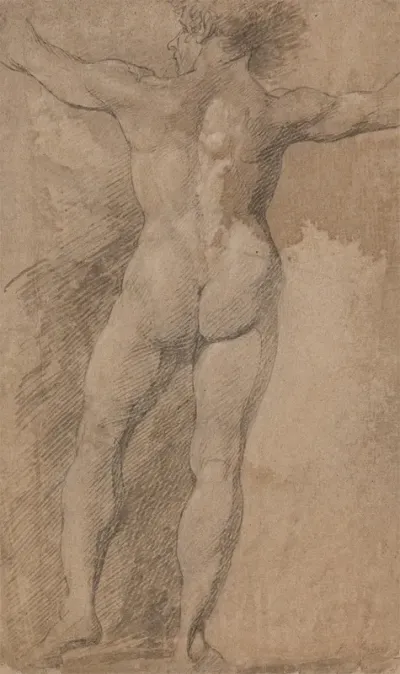 Male With Arms Spread Wide Seen From Behind