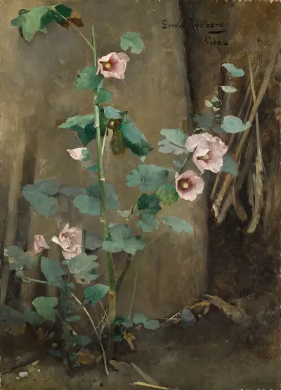 Mallows By A Wall