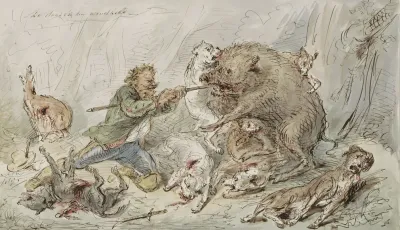 Man Die Een Wild Zwijn Doodt In Een Woud