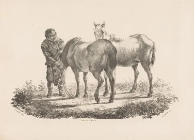 Man En Twee Paarden