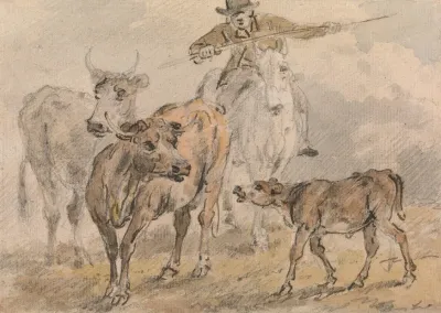 Man On A Horse Hearding Two Cows And A Calf