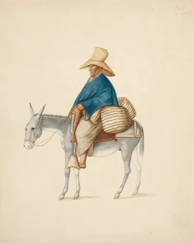 Man On Mule With Loaded Saddlebacks