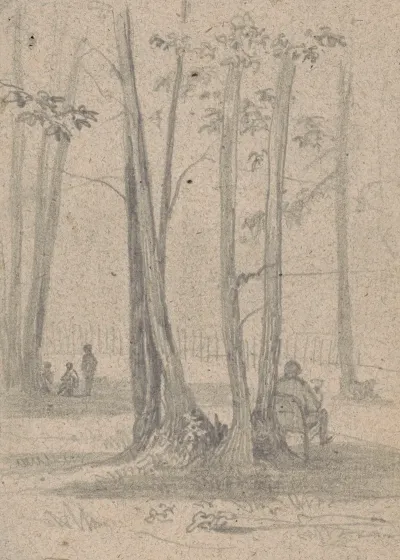Man Sitting In A Chair Among A Cluster Of Trees Others Nearby