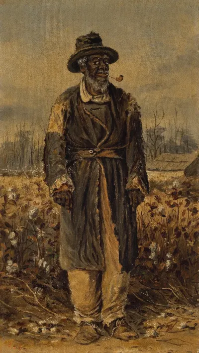 Man Smoking Pipe In Cotton Field