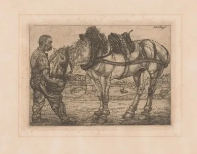 Man Voert Een Paard Uit Een Emmer