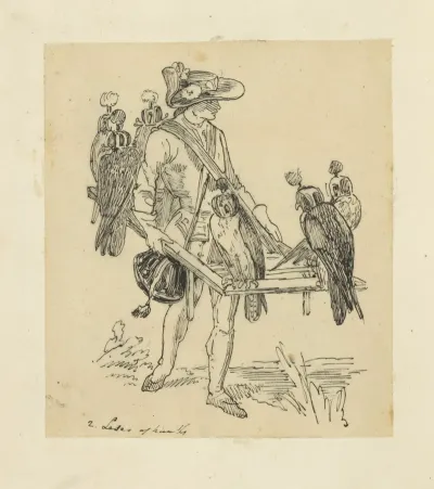 Man With Falcons Perched On Frame