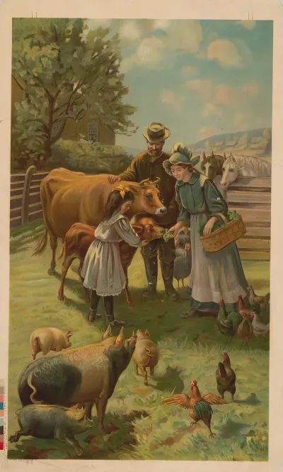 Man Woman And Little Girl Feeding A Calf At The Farm