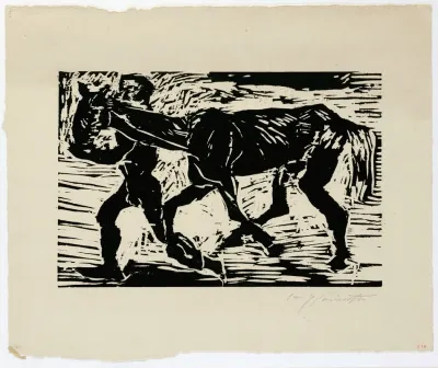 Mann Und Pferd