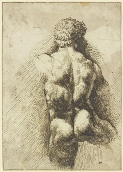 Mannlicher Ruckenakt Torso
