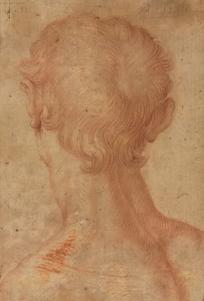 Mans Head From The Back