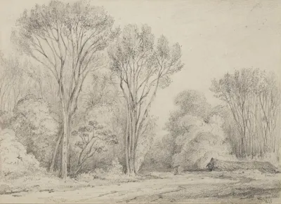 Manuka Grove On Taines Section Upper Hutt