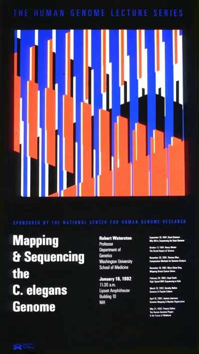 Mapping And Sequencing The C Elegans Genome