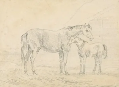 Mare With Foal