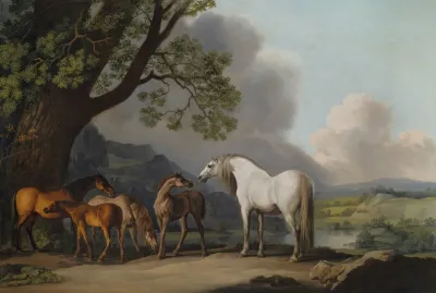 Mares And Foals In An Extensive Landscape